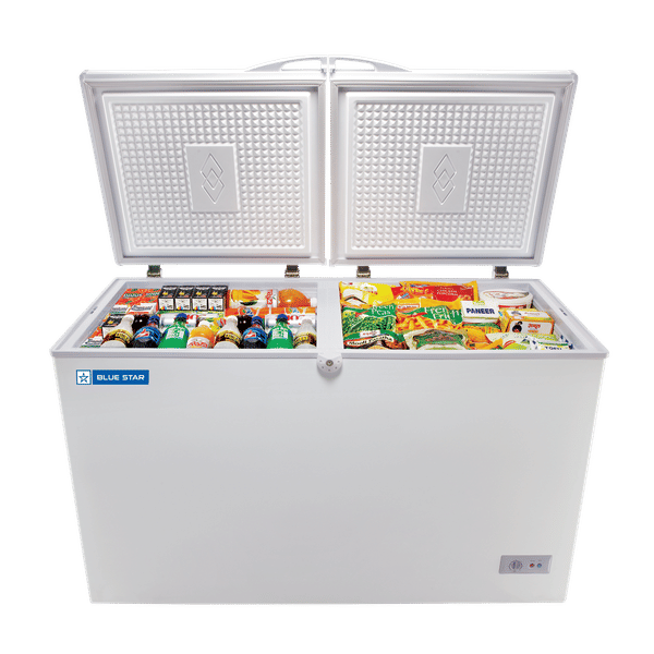Blue star ice cream freezer price top